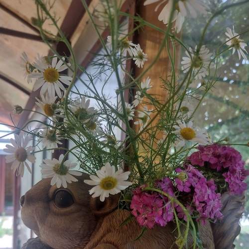 Photo #9296357
