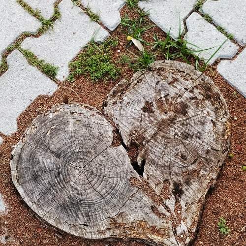 love story