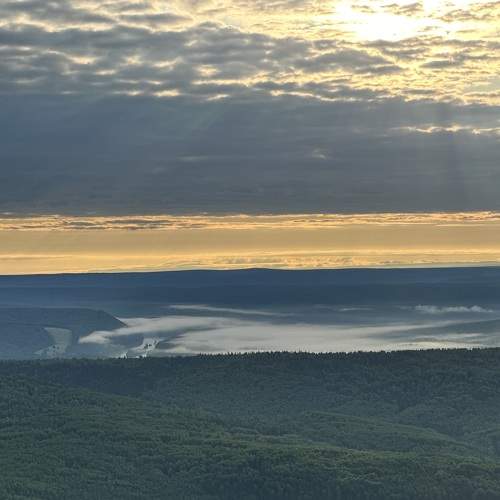 Photo #9296454
