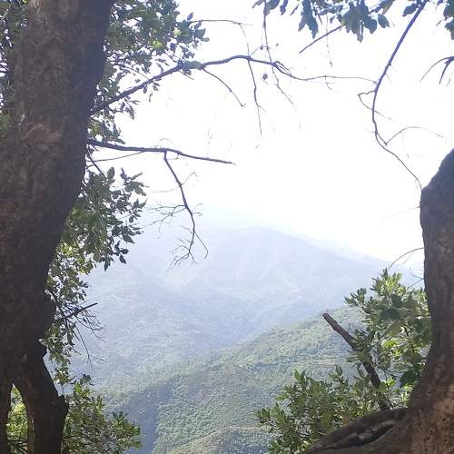 Photo #9296534