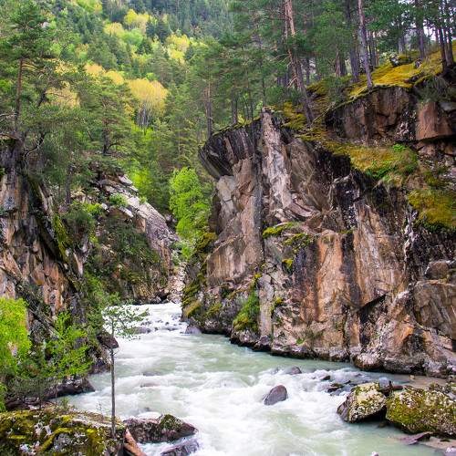 Photo #9296763