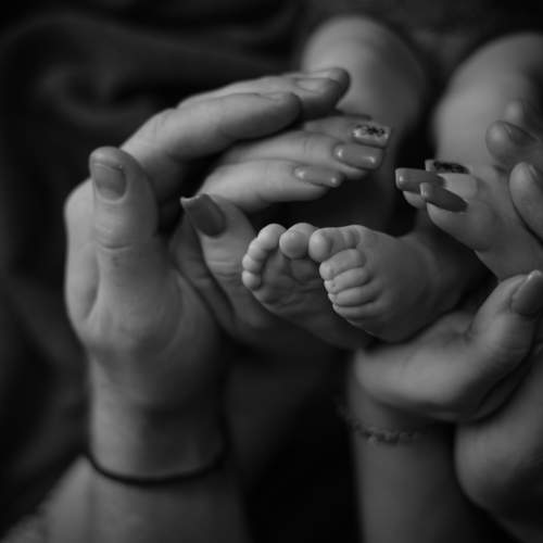Photo #9297008