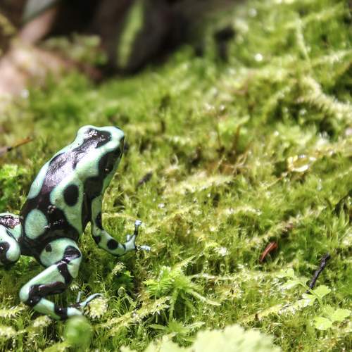 Photo #9297159