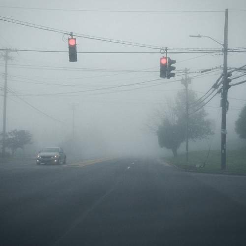Photo #9297417