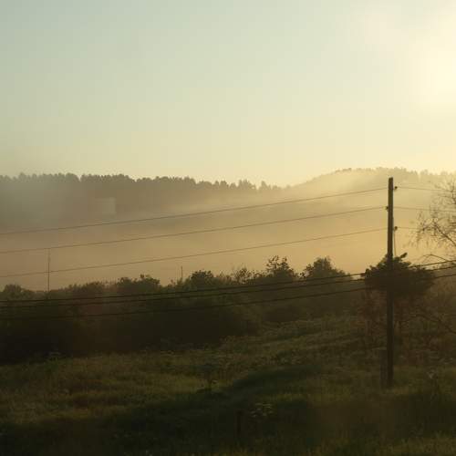 Photo #9297538