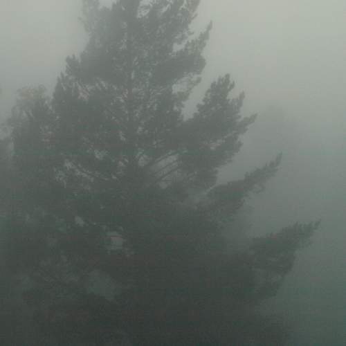 Photo #9297539