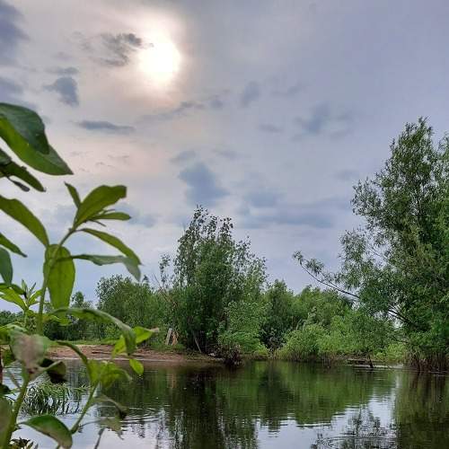 Photo #9298264