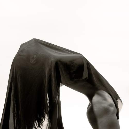 Photo #9298379