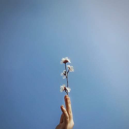 Photo #9298588