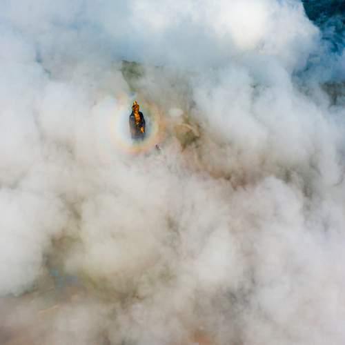 Photo #9298641