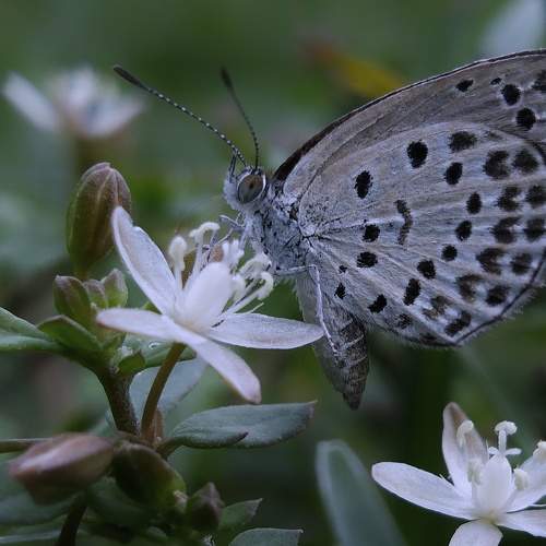 Beauty of Nature