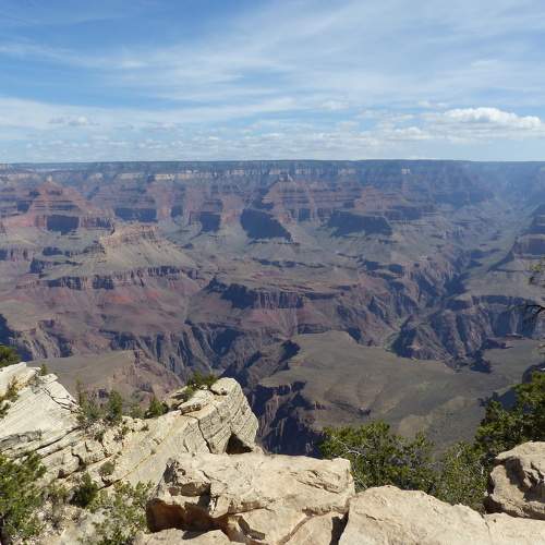 Photo #9298700