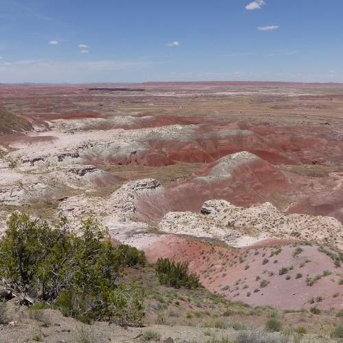 Photo #9298709