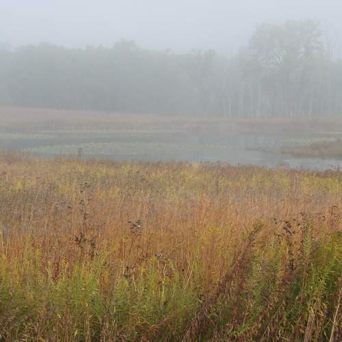 Photo #9298719