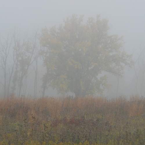 Photo #9298720