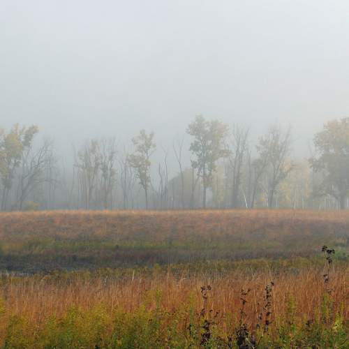 Photo #9298723