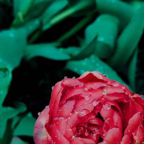 Photo #9298966