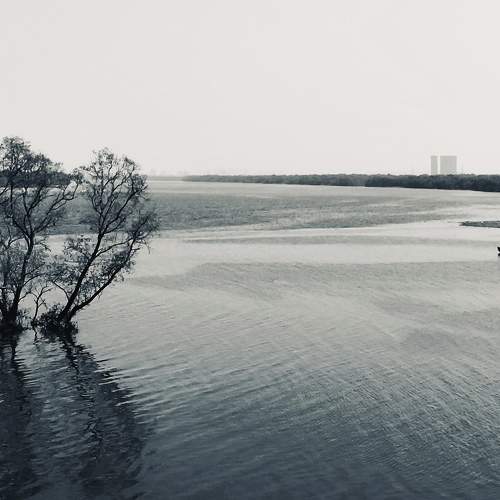 Serenity