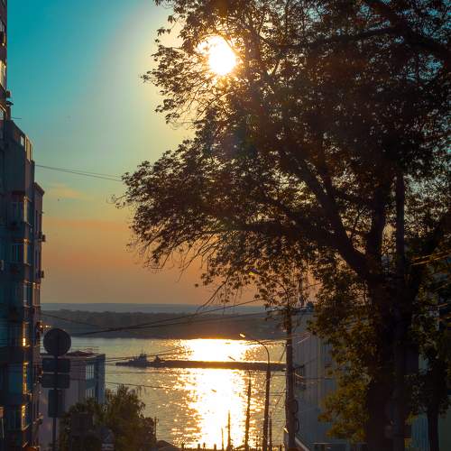 Photo #9299594