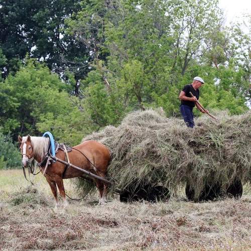 Редко такое увидишь!