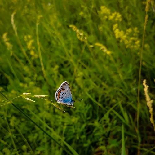 Photo #9300324