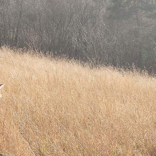 Photo #9300616