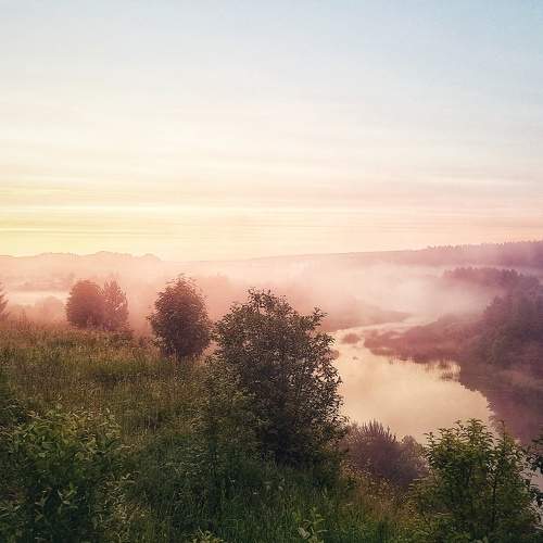 Photo #9301691