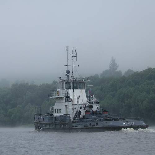 Photo #9301798