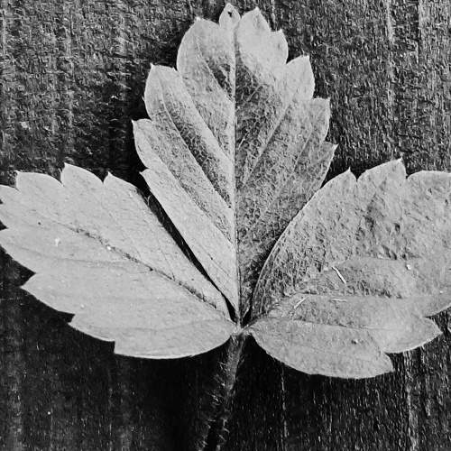 Photo #9302008