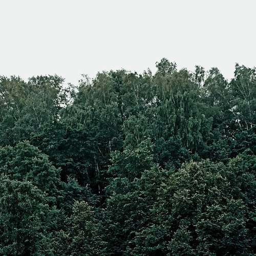Photo #9302240
