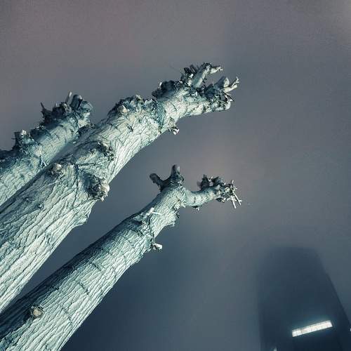 Photo #9302552