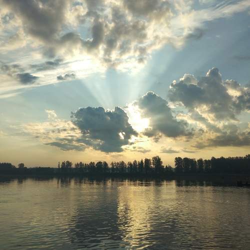 Photo #9303019