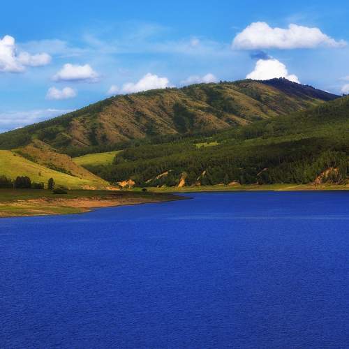 Photo #9303023