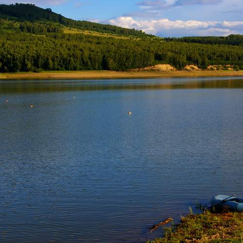 Photo #9303025