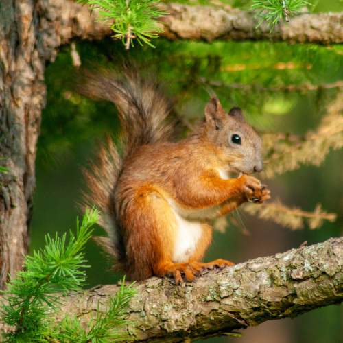 Photo #9303045