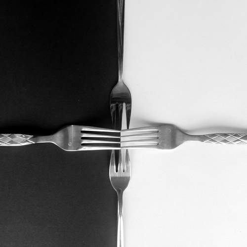 Photo #9303205