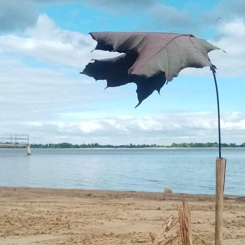 Photo #9303247