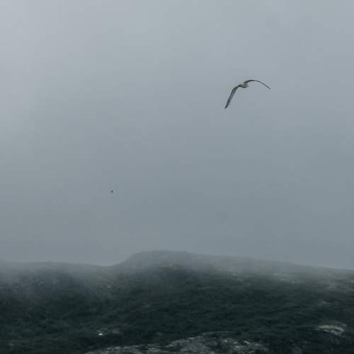 Photo #9303285