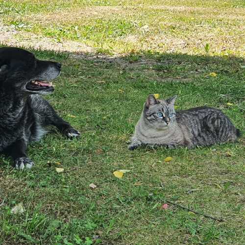 Photo #9303568