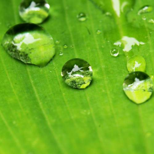 Photo #9303601