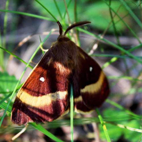 Photo #9303609