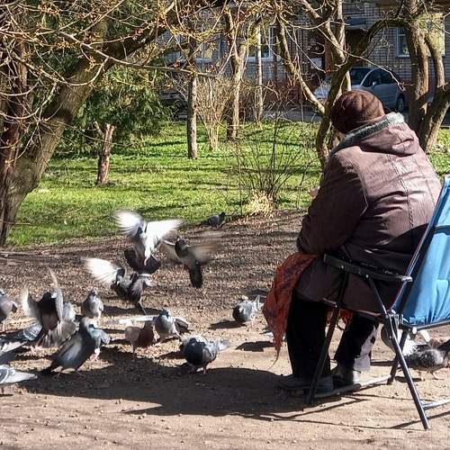Надо спешить