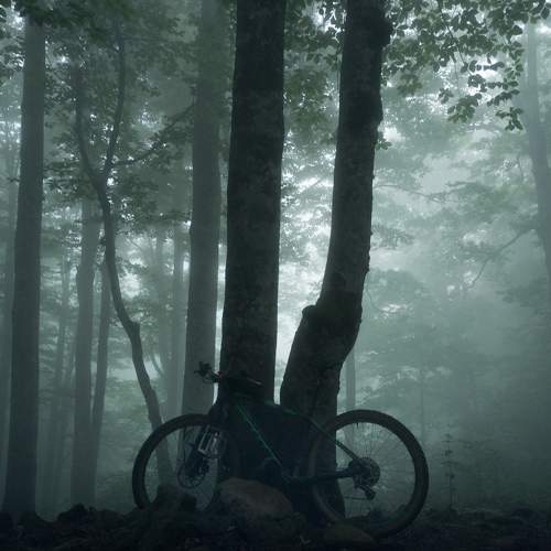 Photo #9304035