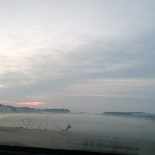 Photo #9304040
