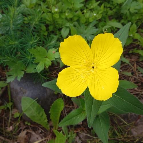 Photo #9304208