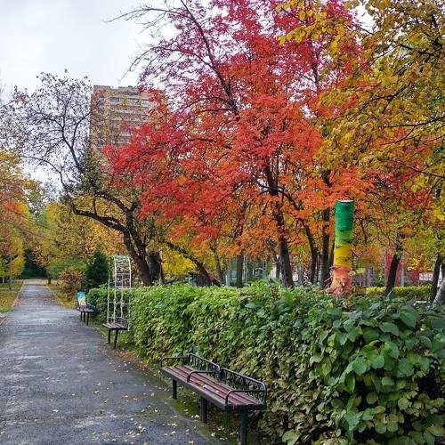 Photo #9304477