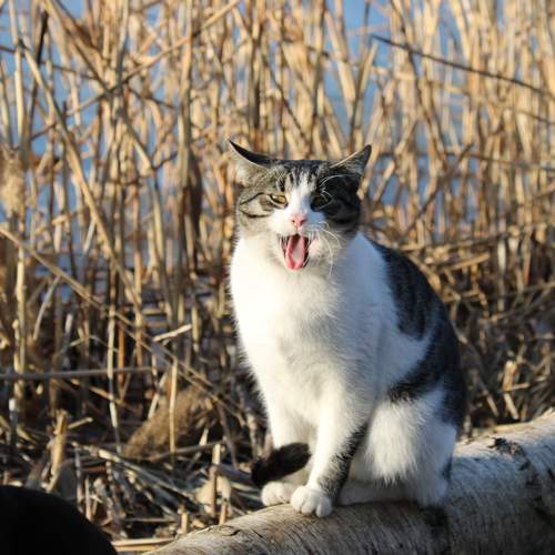 Photo #9304626