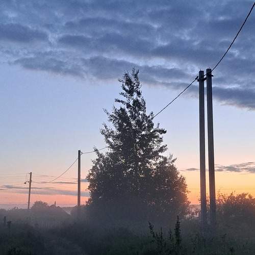 Photo #9304655