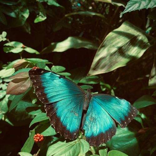 Photo #9304870