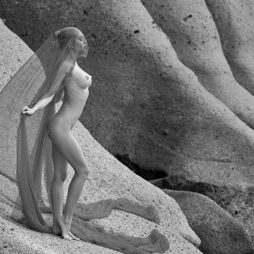 beauty and grace of the body